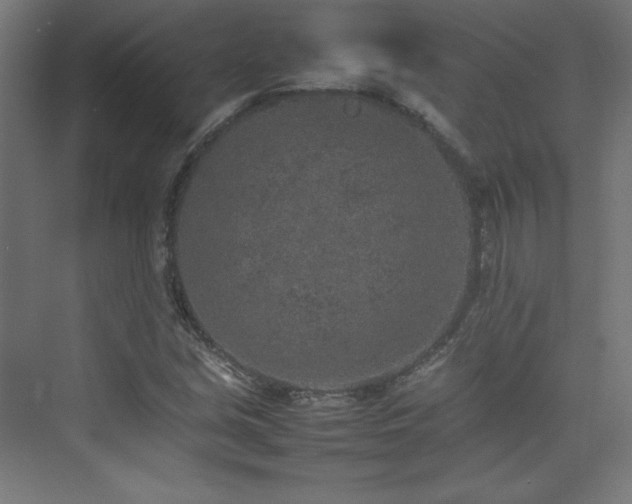 X0000074971213200609011207