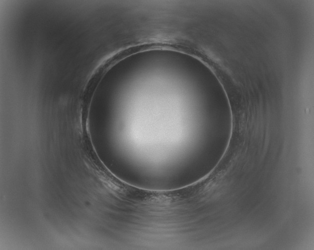 X0000074971214200609011207