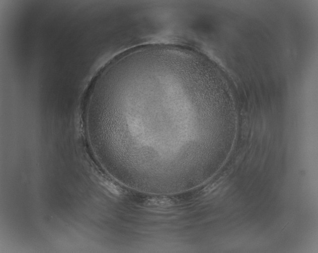 X0000074971215200609011207