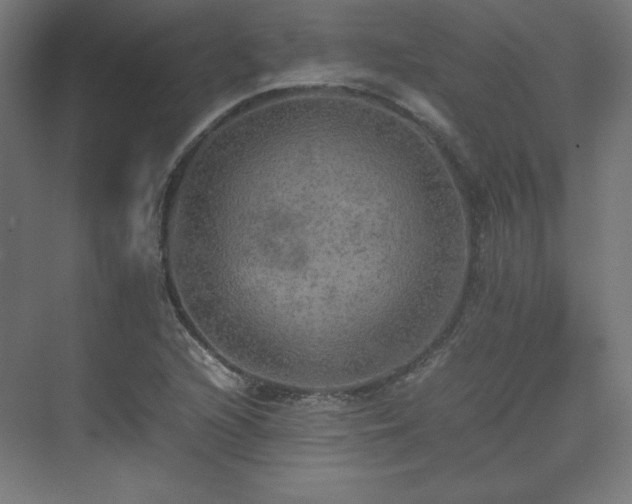 X0000074971216200609011207