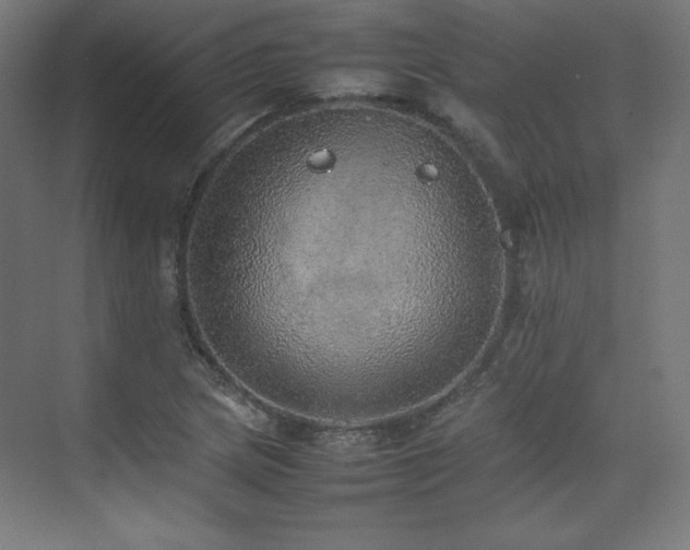 X0000074971217200609011207