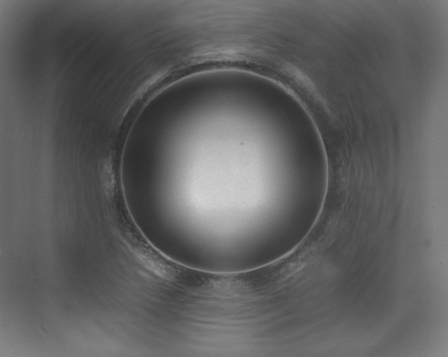 X0000074971218200609011207