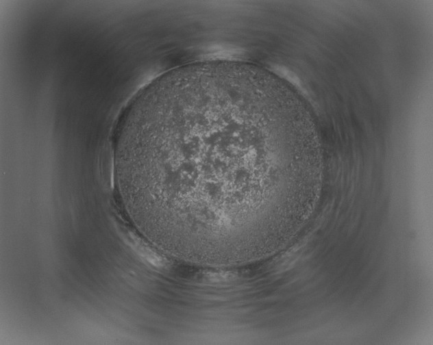 X0000074971219200609011207