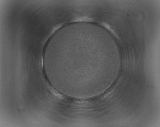 X0000074971221200609011207