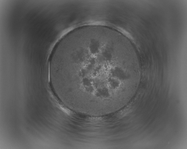 X0000074971223200609011207