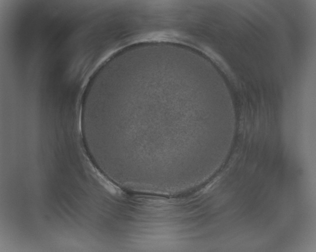 X0000074971224200609011207