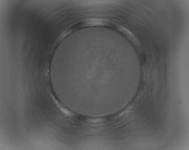 X0000074971225200609011207