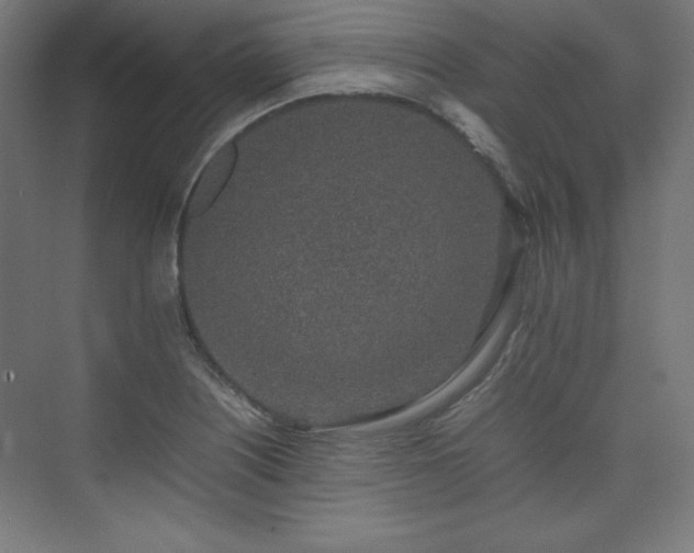 X0000074971226200609011207