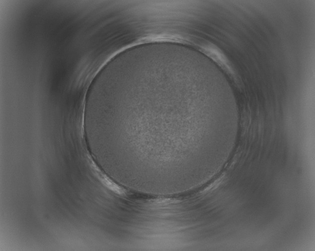 X0000074971228200609011207