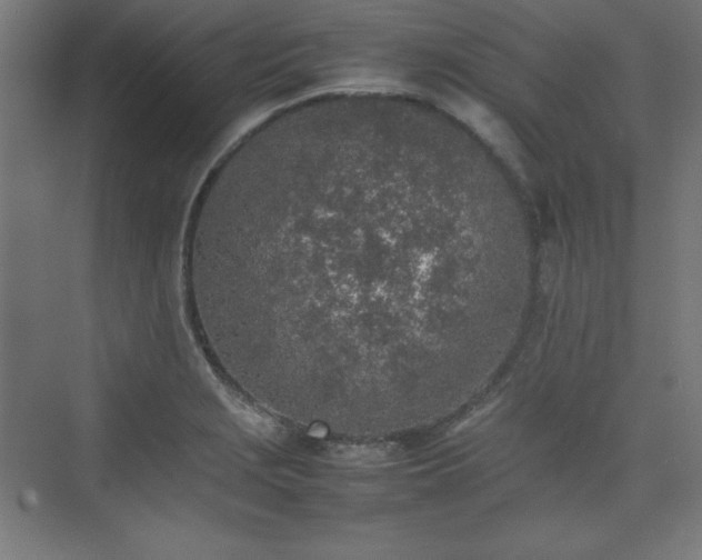 X0000074971229200609011207