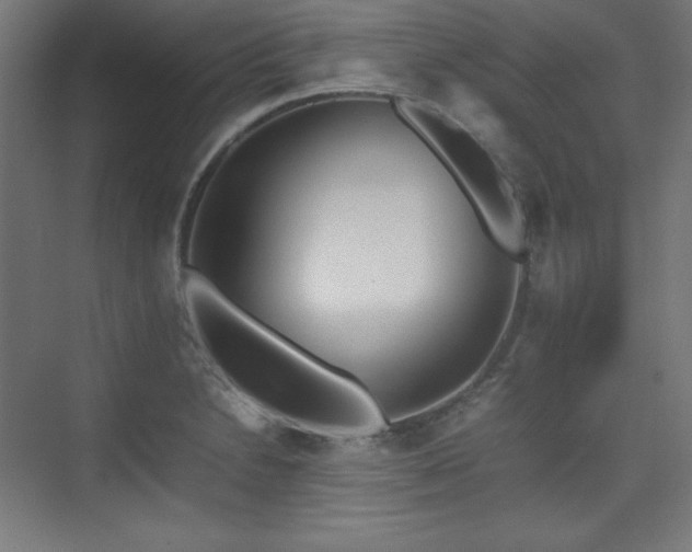 X0000074971230200609011207