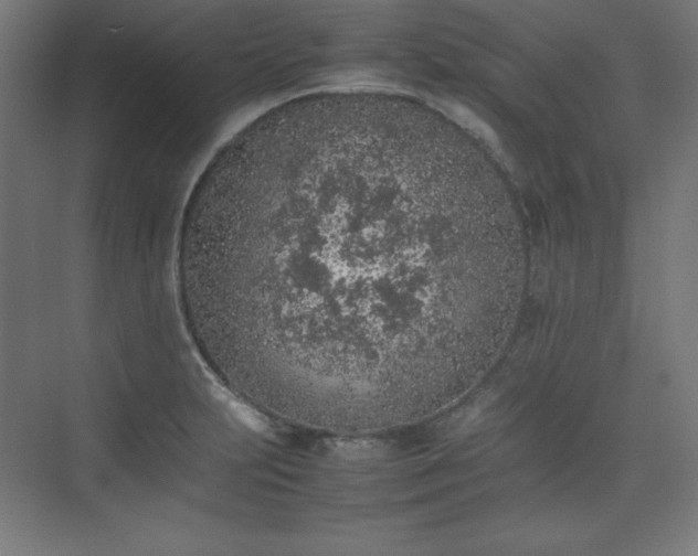 X0000074971231200609011207