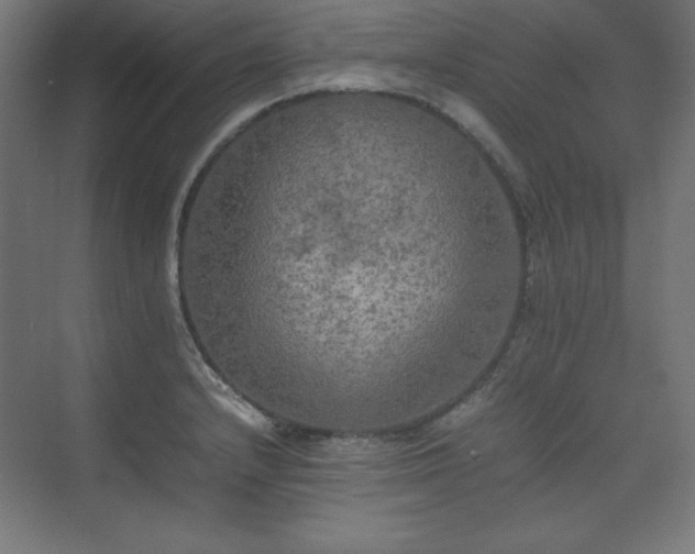 X0000074971232200609011207