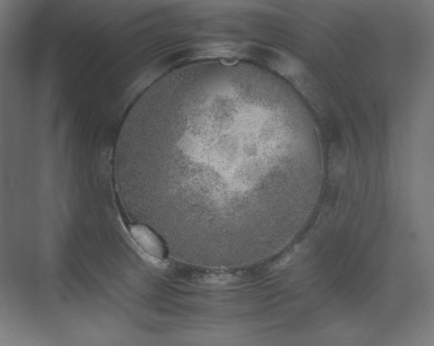 X0000074971233200609011207