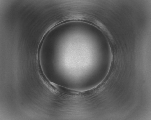 X0000074971234200609011207