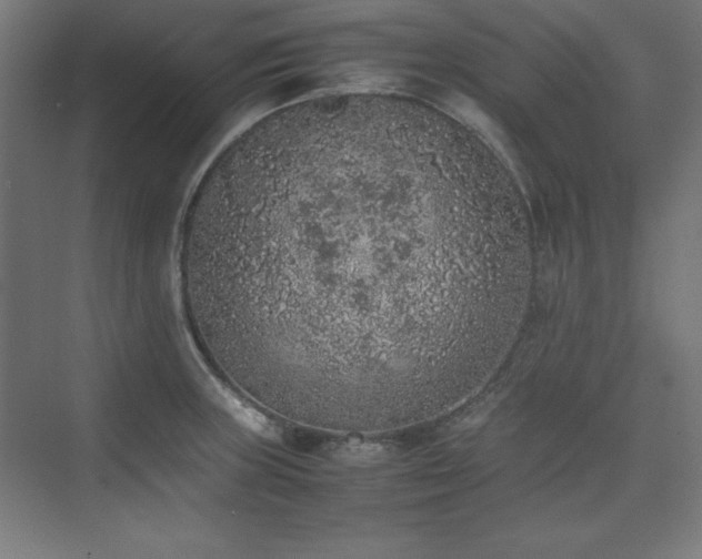 X0000074971235200609011207