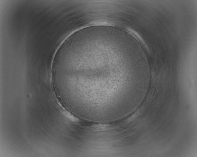 X0000074971236200609011207