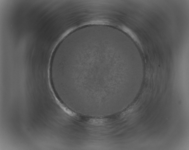 X0000074971237200609011207