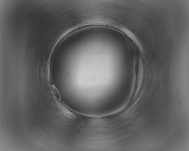 X0000074971238200609011207