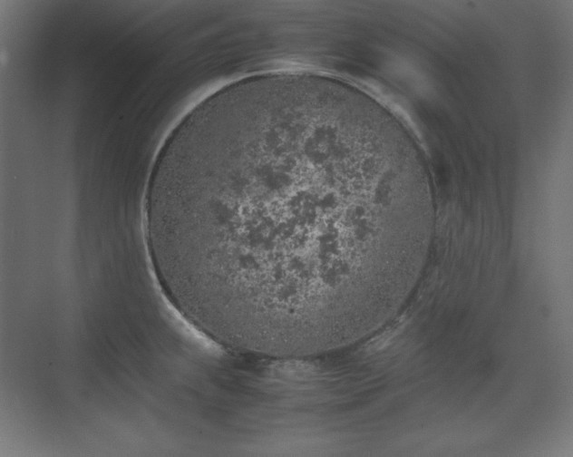 X0000074971239200609011207