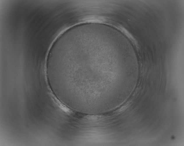 X0000074971240200609011207