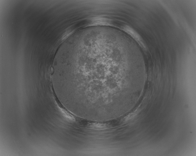 X0000074971241200609011207