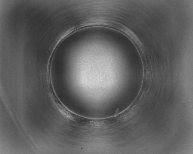 X0000074971242200609011207