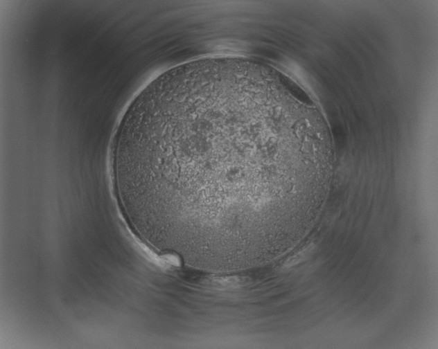 X0000074971243200609011207