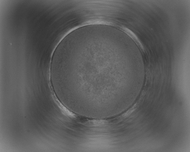 X0000074971244200609011207