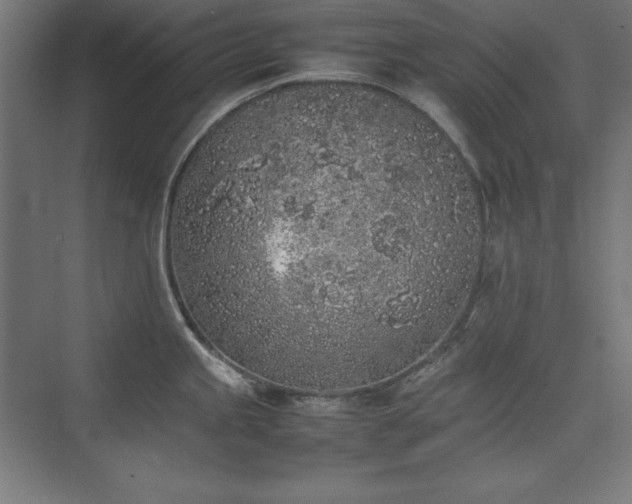 X0000074971245200609011207