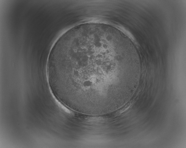 X0000074971247200609011207