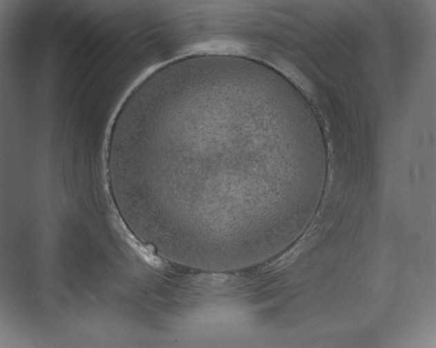 X0000074971248200609011207