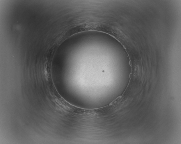 X0000074971250200609011207