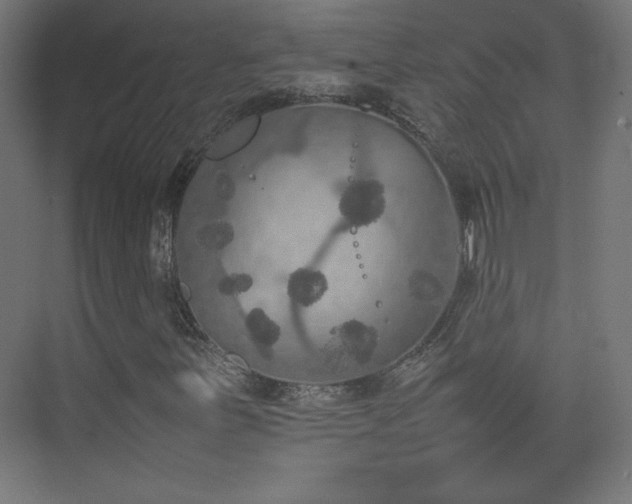 X0000074971251200609011207