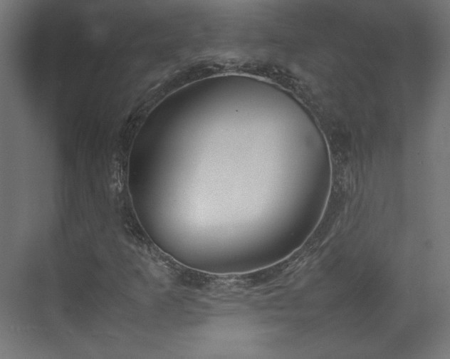 X0000074971253200609011207