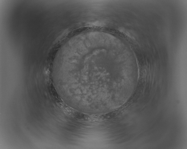 X0000074971254200609011207