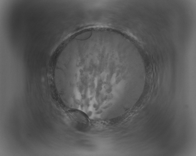 X0000074971255200609011207