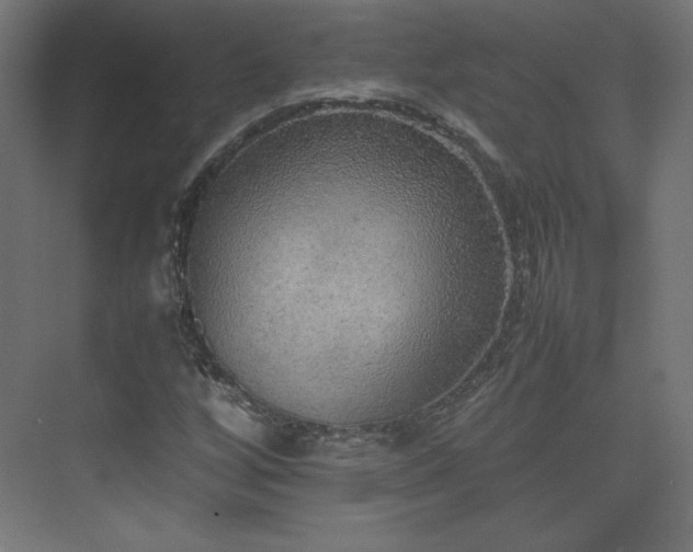 X0000074971256200609011207