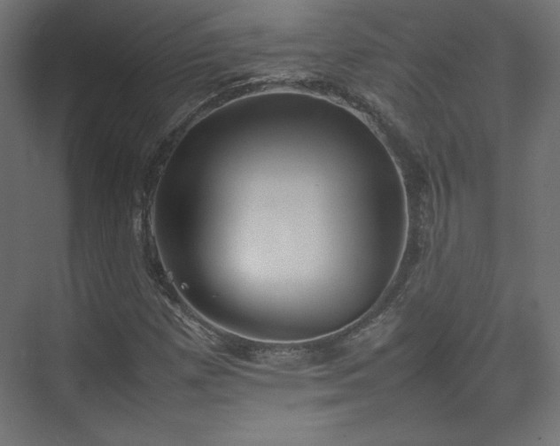 X0000074971257200609011207