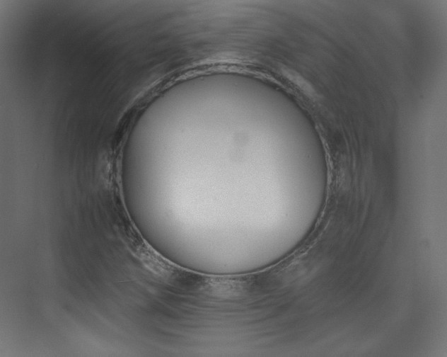 X0000074971258200609011207