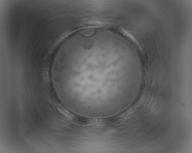 X0000074971259200609011206