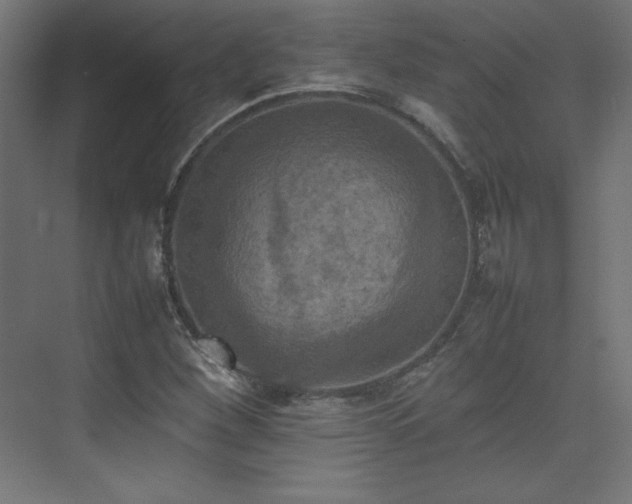 X0000074971260200609011206