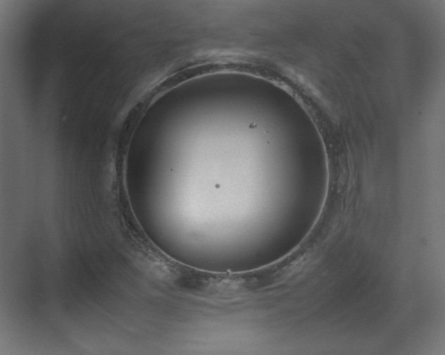 X0000074971261200609011206