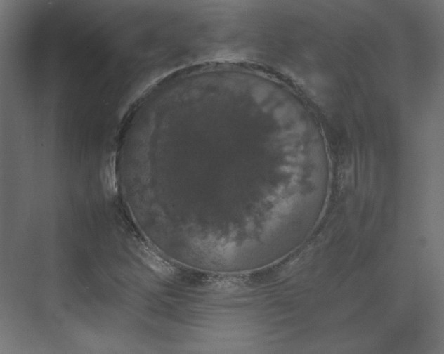 X0000074971262200609011206