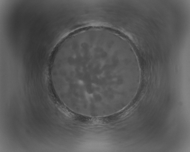 X0000074971263200609011206