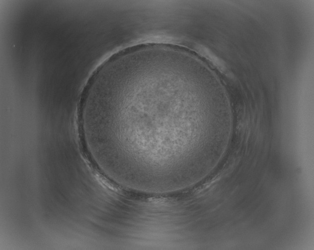 X0000074971264200609011206