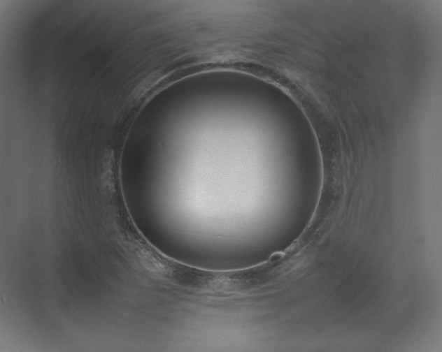 X0000074971265200609011206