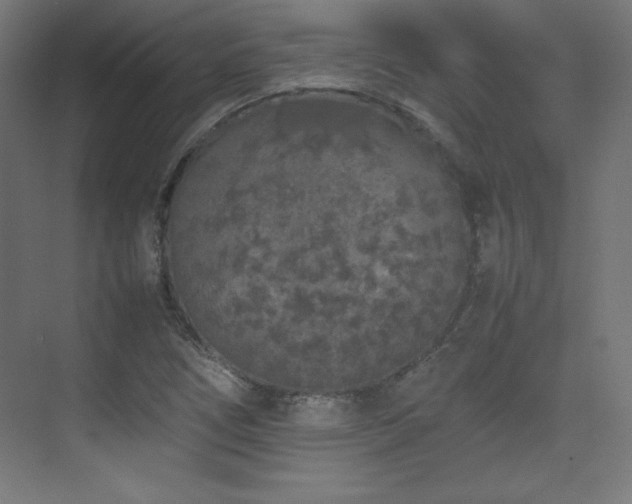 X0000074971266200609011206