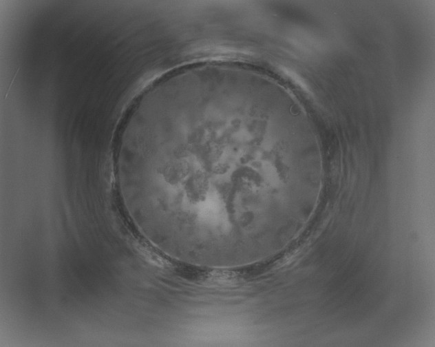 X0000074971267200609011206