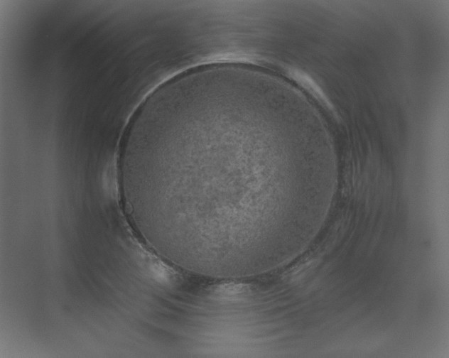 X0000074971268200609011206